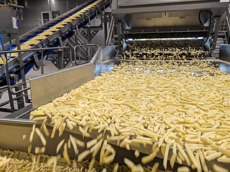 French fries production line