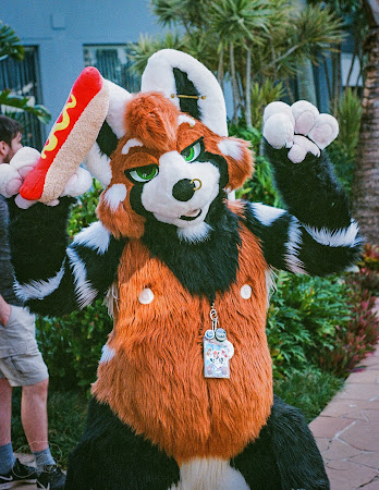furdu-12.jpg