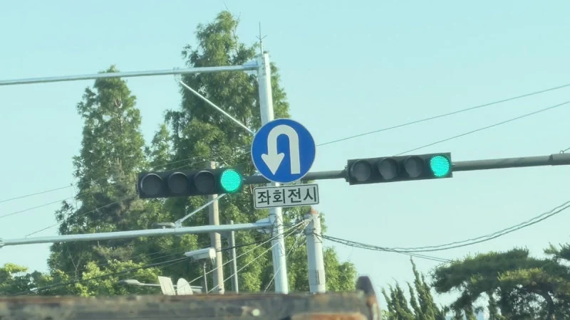 출처: 온라인 커뮤니티
