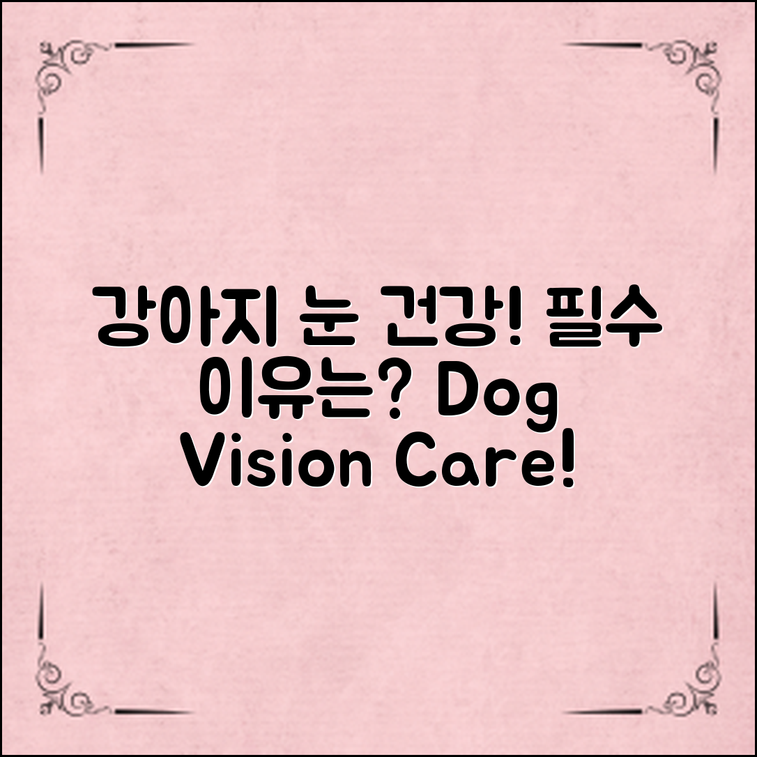 강아지눈건강식품, 꼭 필요한 이유는?