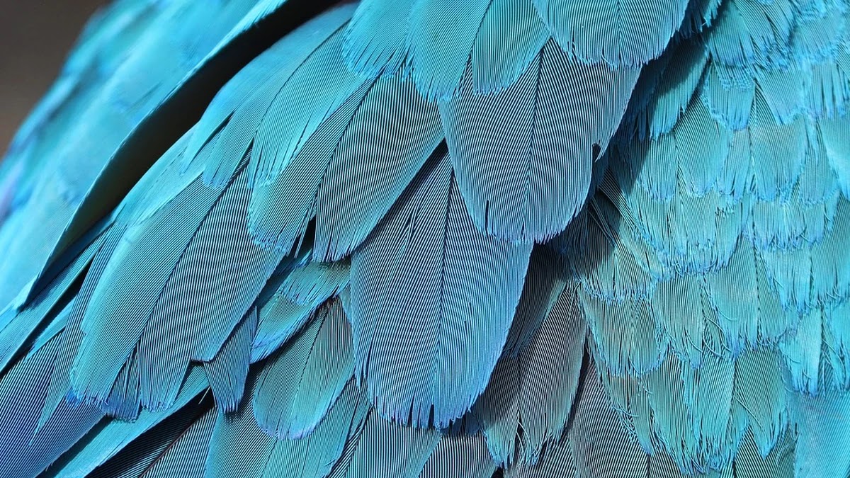 3·1운동의 배경과 한국 근대사 전환점으로서의 의미