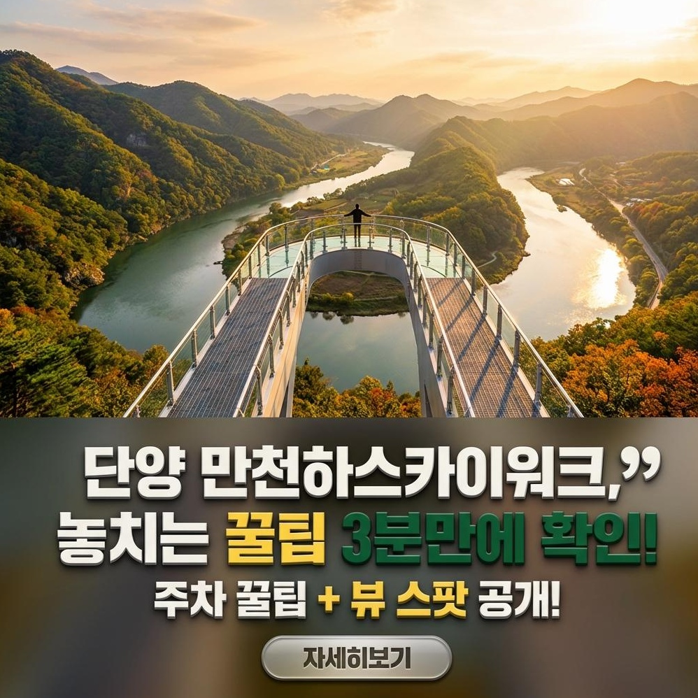 단양 만천하스카이워크: 스릴 & 인생샷 완벽 가이드