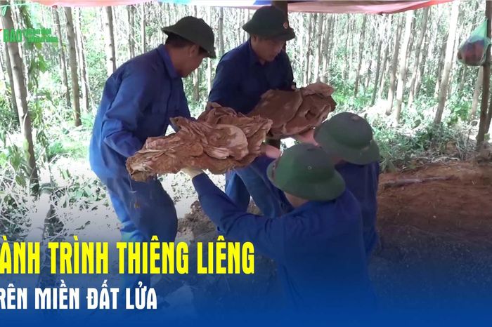Hành trình thiêng liêng trên miền đất lửa - Báo Quân Đội Nhân Dân