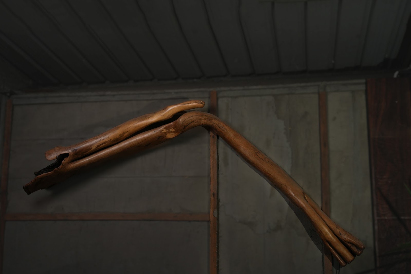 Extended Arm, studio view 1