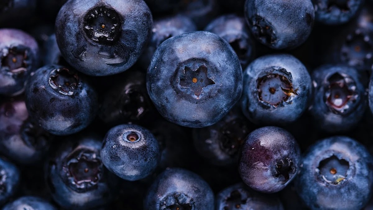 힙 자료구조의 종류별 특징과 정렬 알고리즘 적용 차이