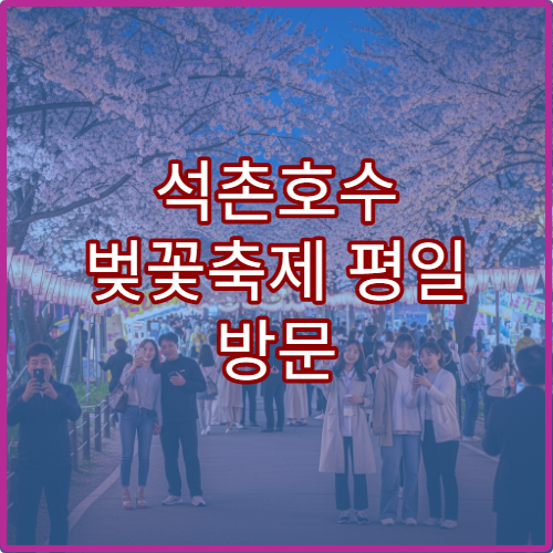 석촌호수 벚꽃축제 평일 방문 시간대와 주말 혼잡 피하기