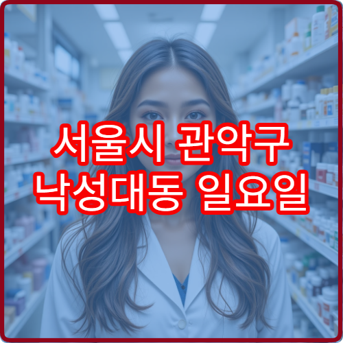 서울시 관악구 낙성대동 일요일 당직약국 안내 공휴일 약국 정보 총정리