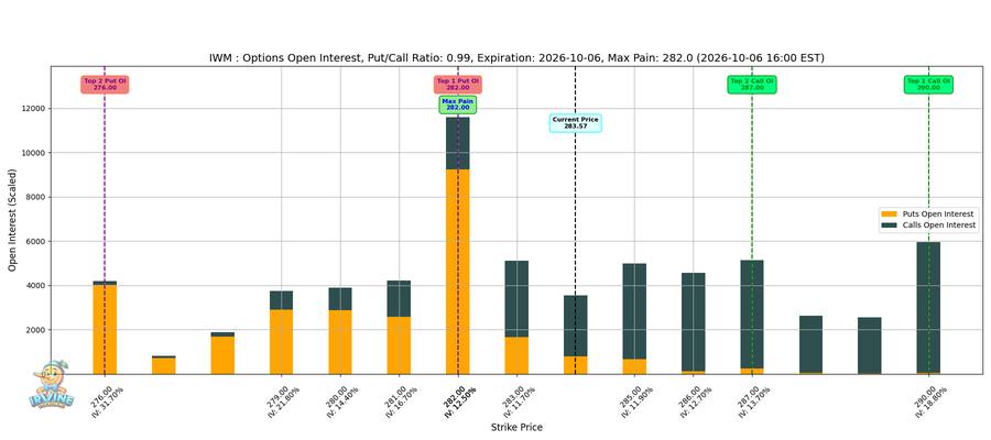 IWM Options