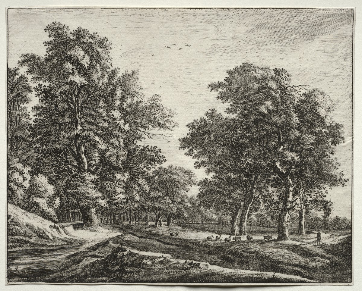 Goats Under the Trees 164052