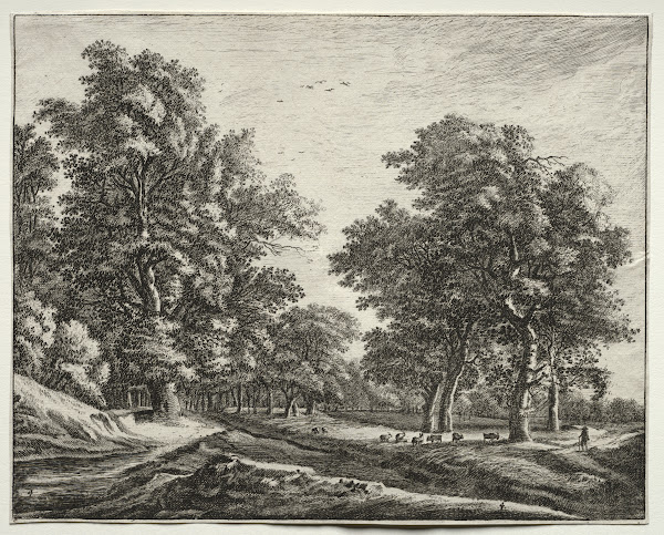 Goats Under the Trees 164052