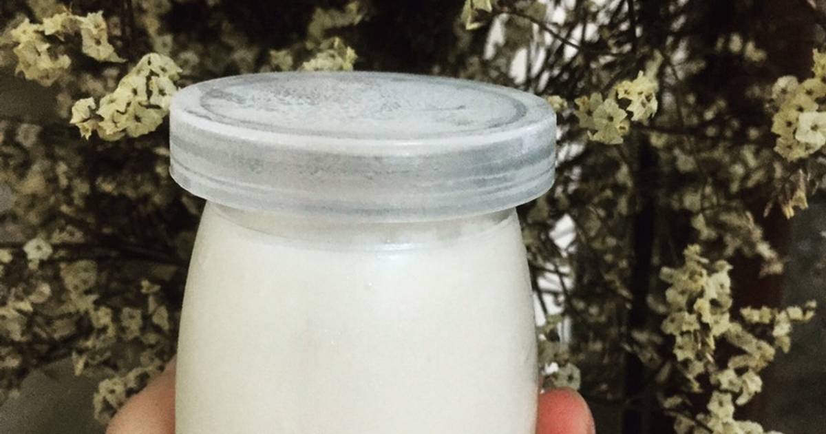 Sữa chua homemade -Ủ yogurt bằng nồi cơm điện đơn giản