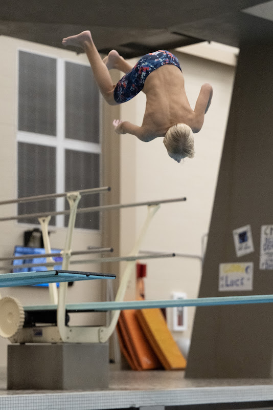 Photo from MS: Swim & Dive of Rabun Williams