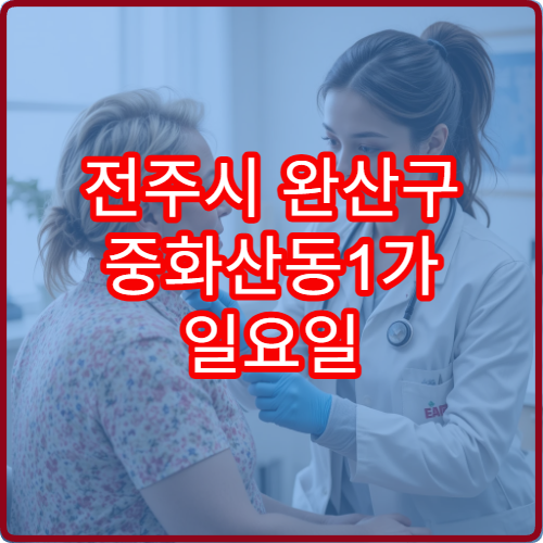 전주시 완산구 중화산동1가 일요일 진료 안과 시력 저하 눈 피로 검사