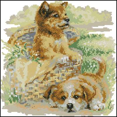 CMP 400955 Pattern