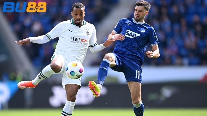 Lịch sử đối đầu giữa hai đội Hoffenheim vs Borussia Monchengladbach
