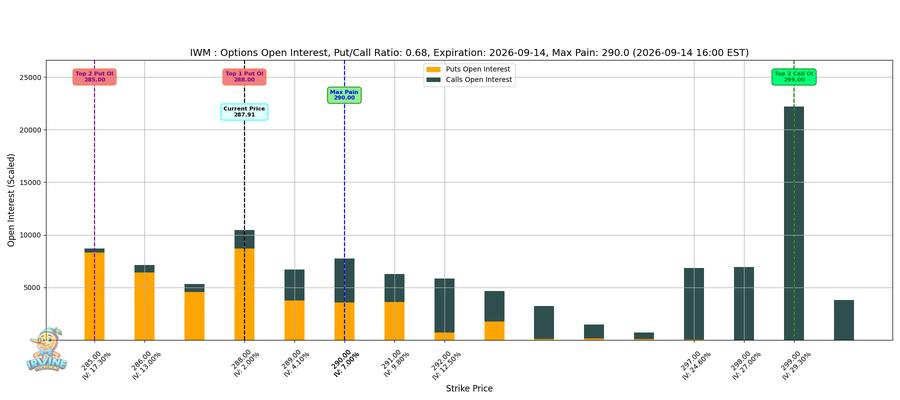 IWM Options