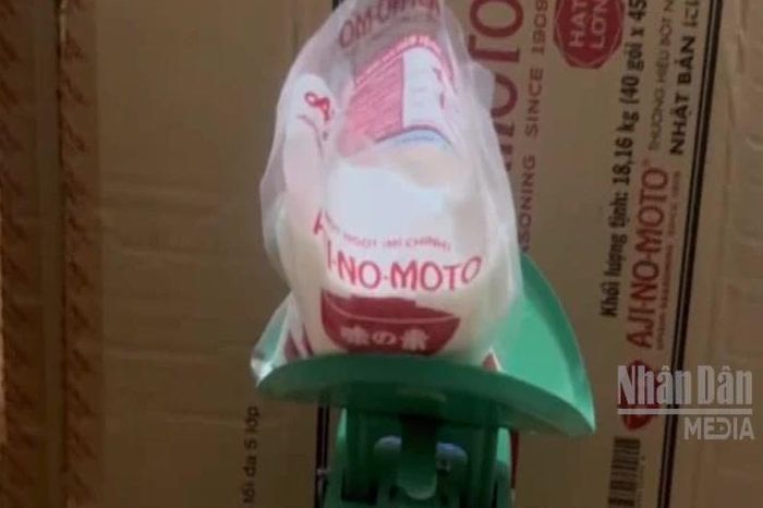 [Video] TP Hồ Chí Minh triệt phá đường dây sản xuất hơn 4 tấn bột ngọt giả nhãn hiệu Ajinomoto - Báo Nhân Dân
