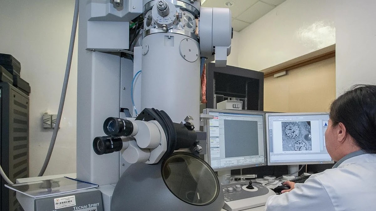 과학 개념이 역사적으로 어떻게 변화해 왔는지 탐구하기