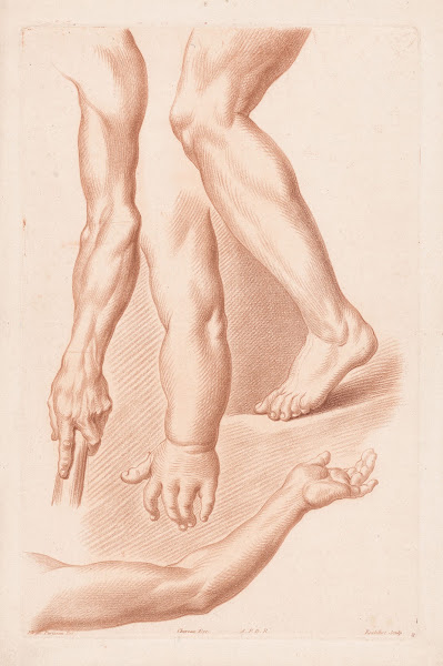 Different views of a leg and three arms 1749 1849