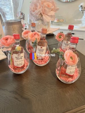 Hôn Nhân Chớp Nhoáng