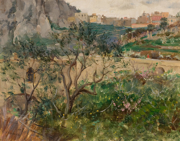 View of Capri 1889
