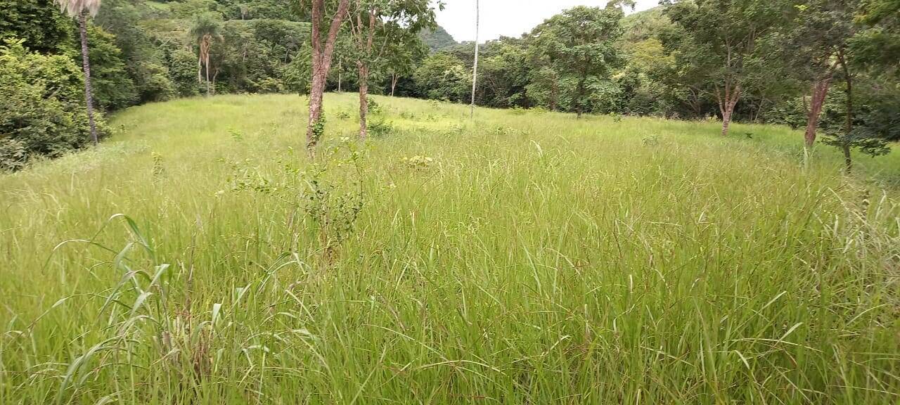 Fazenda em Palmeirópolis-TO 2