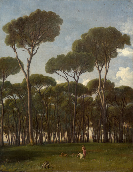 Maritime pines at the villa Pamphilj 1837