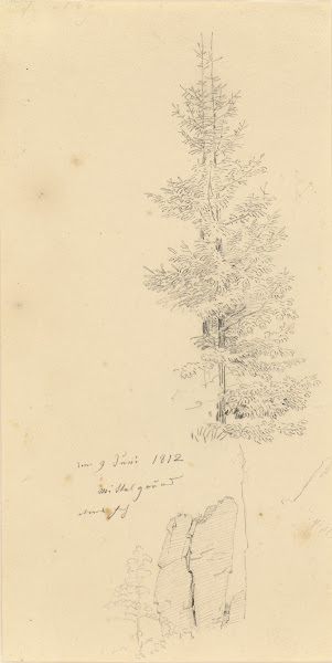 Study of Pine Trees and a Rock 1812