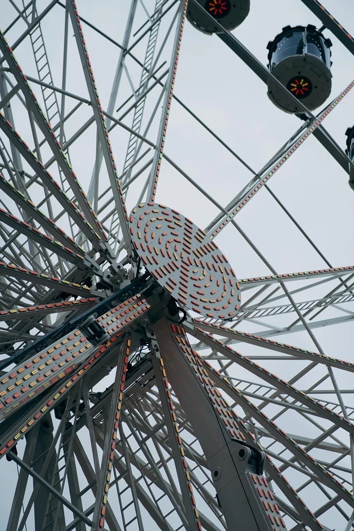 피부양자 제도의 형성과 가족 구조 변화의 인류학적 연결고리