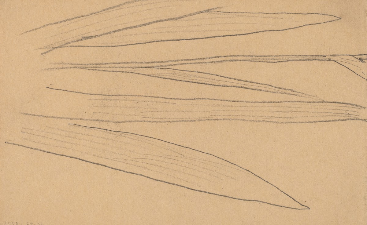 Study of a Flower verso 1890 1897