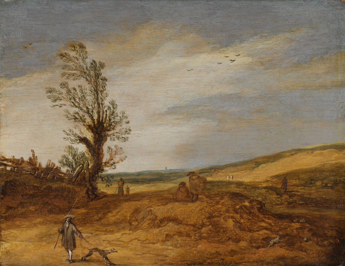 A View in the Dunes 1629