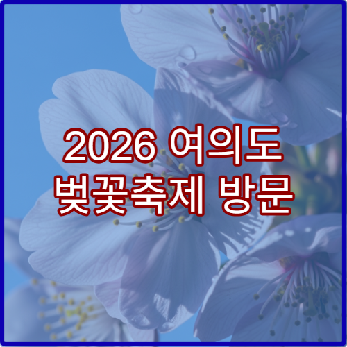 2026 여의도 벚꽃축제 방문 후기와 재방문 꿀팁 A to Z