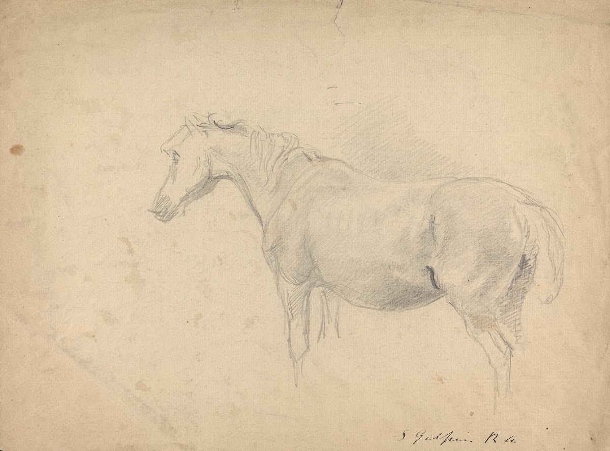Sketch of a Horse