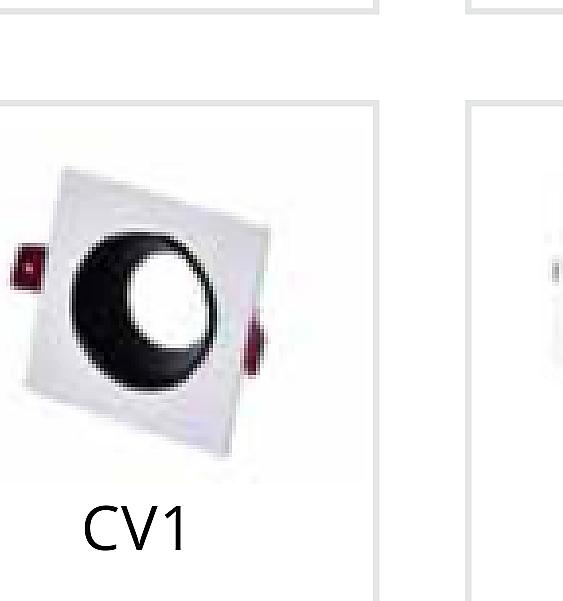 CTL-CV1