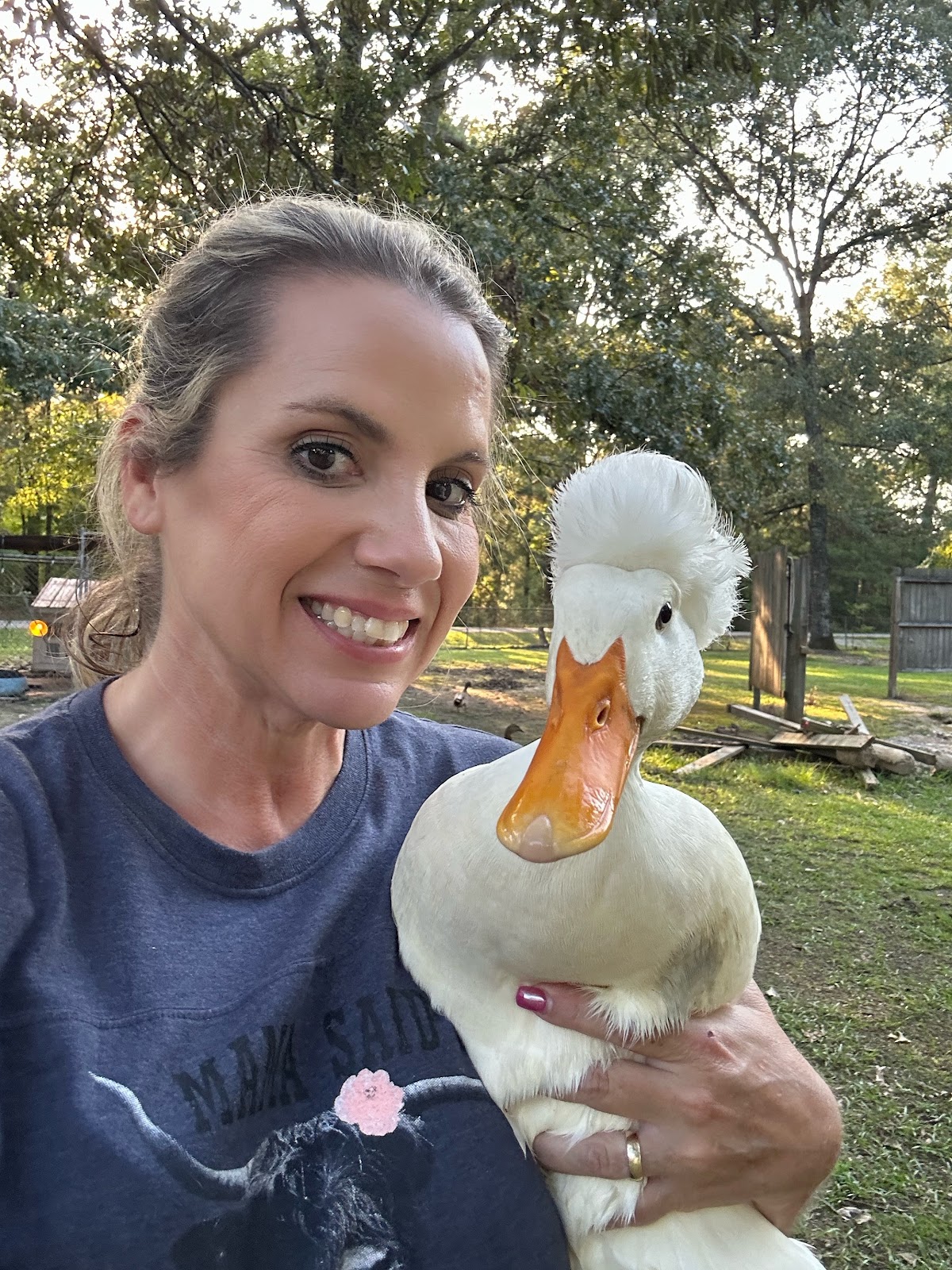 White Crested Duckling