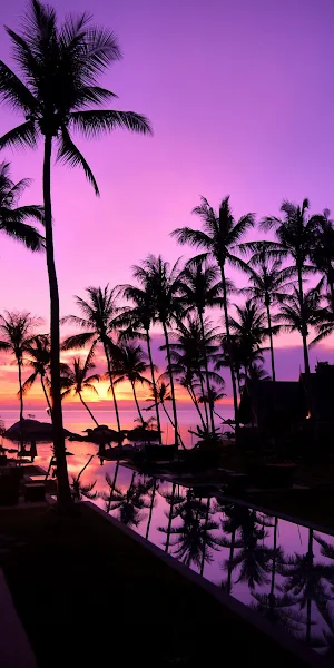 Ko Pha Ngan, Atmosphere, Cloud, Plant, Afterglow Full HD iPhone Wallpaper Background