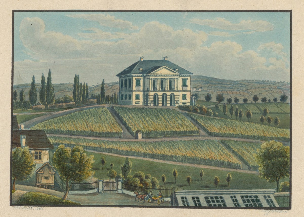Freudenberg campagne près de Zurich 1915 1945