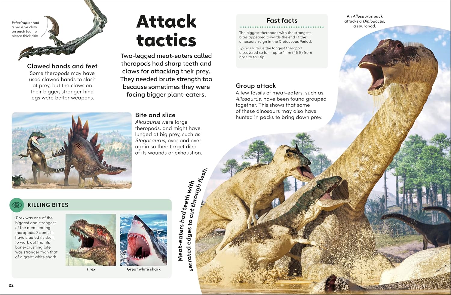 Eyewonder Dinosaurs - thumbnail 3