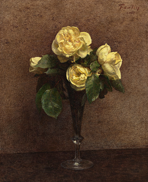 Roses jaunes Maréchal Niel 1883