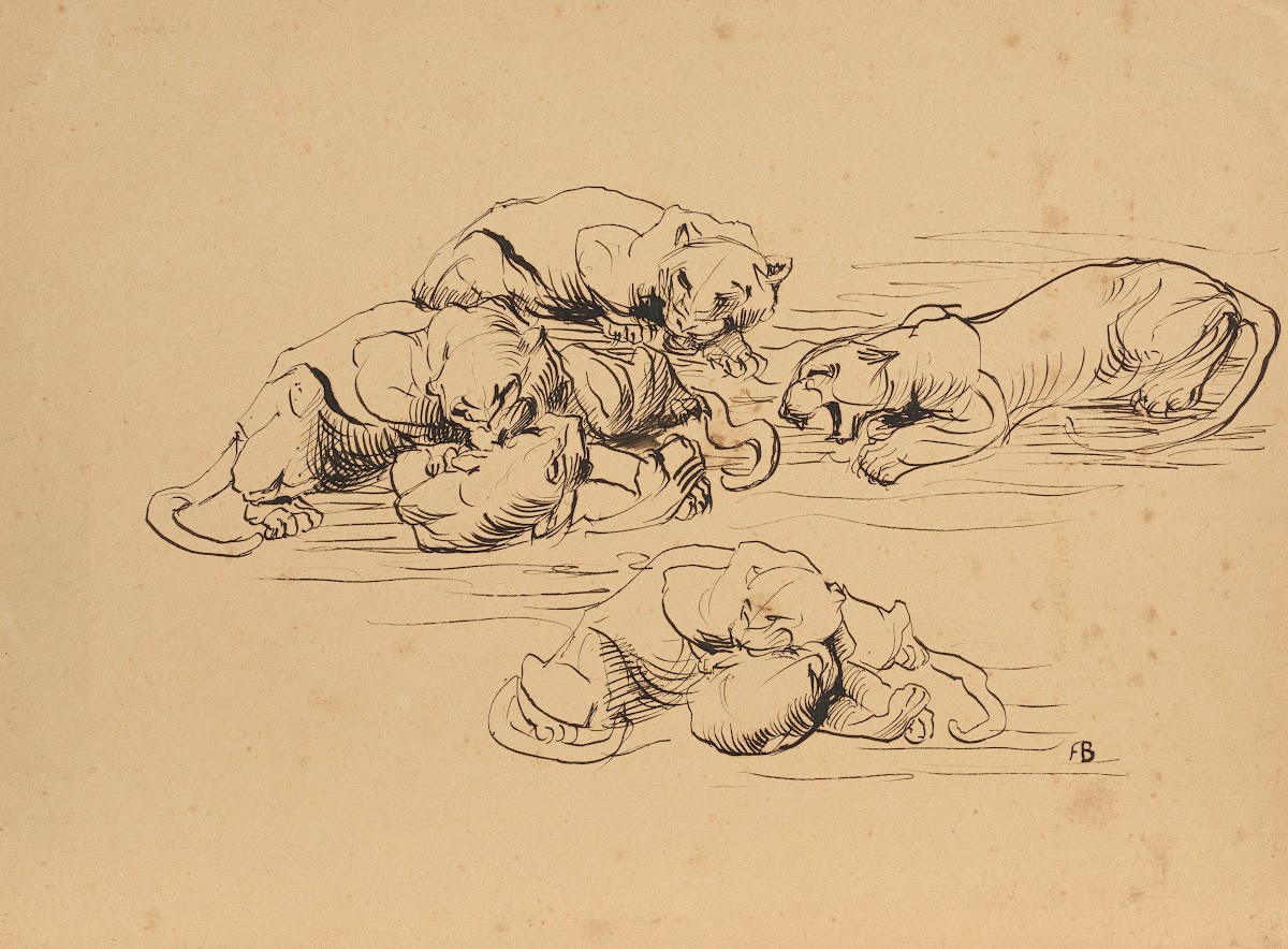 Raufende Sundapanther 1906 1907
