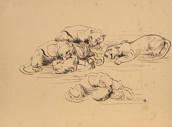 Raufende Sundapanther 1906 1907