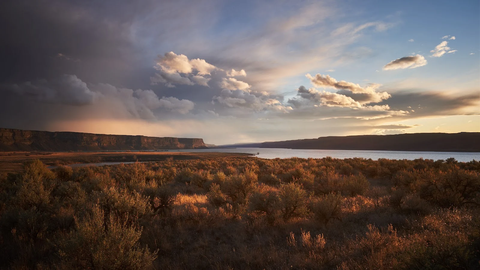 Storm Clouds Over Golden Prairie - Landscape Photography 5K Wallpaper (5120x2880)