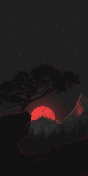 Nature At Night Picture