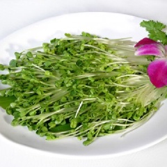 Ớt sừng rửa sạch, bỏ hạt, cắt sợi. Bắp cải tím rửa sạch, bào sợi mỏng. Rau mầm rửa sạch, để ráo.