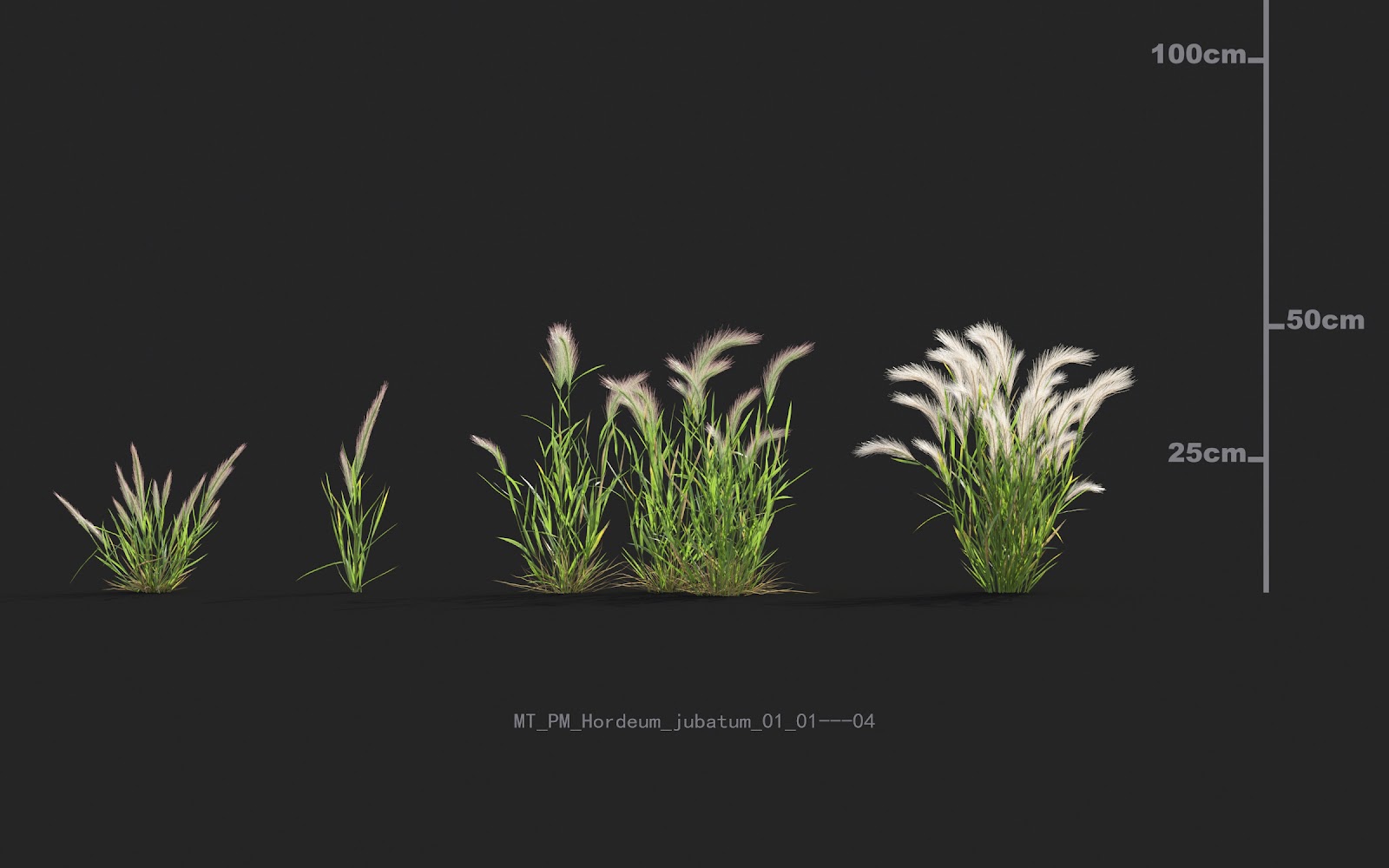 Maxtree - Plant Models Vol.20