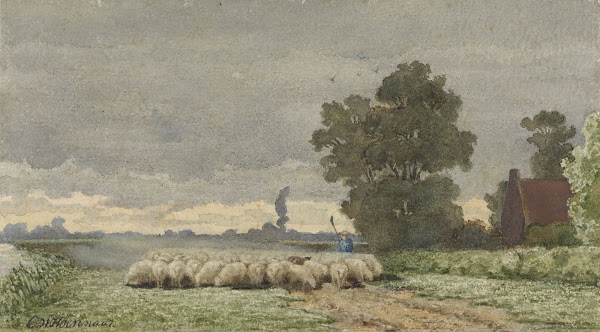 Landschap met kudde schapen 1857   1884