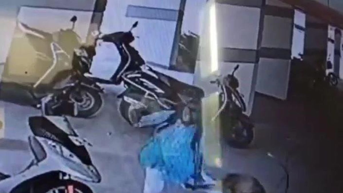 Đang đi làm, người phụ nữ bất ngờ bị khỉ hoang lao tới cắn vào chân - Tạp chí Doanh Nghiệp Việt Nam