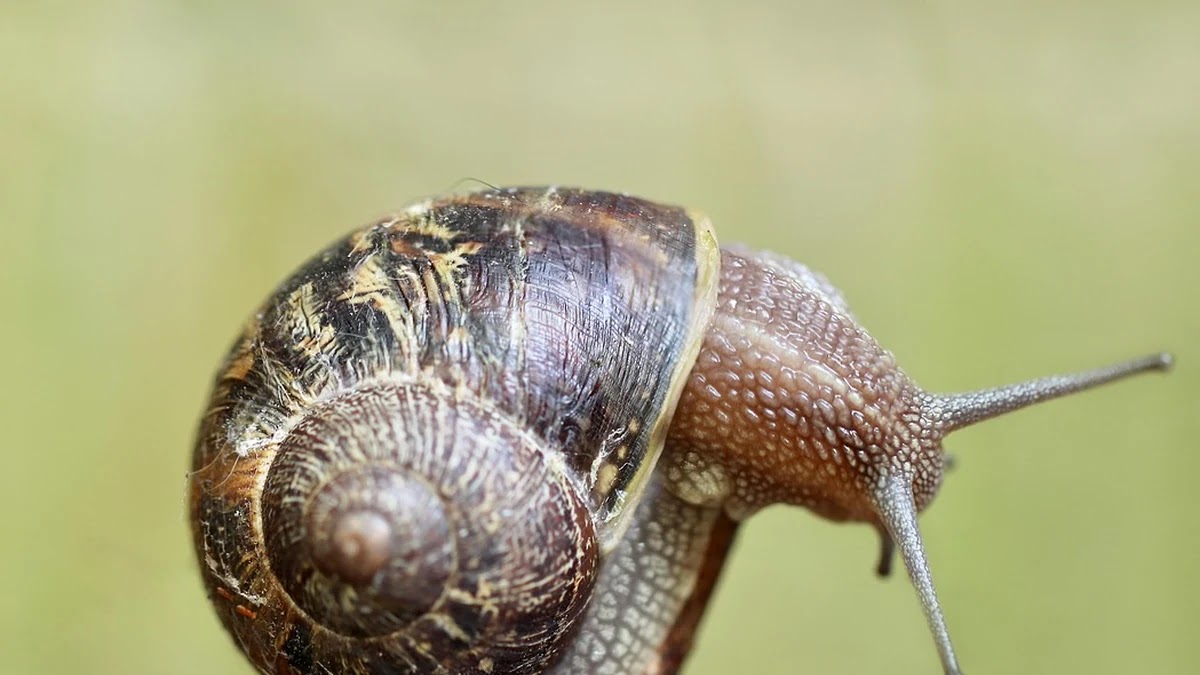 태블릿 터치스크린 센서 종류별 구조와 반응속도 차이 비교