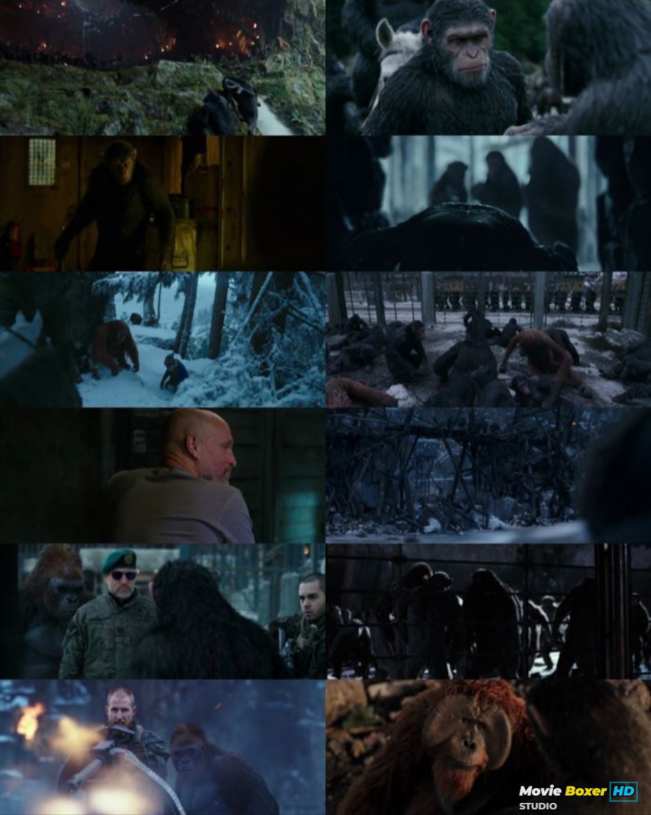 Screenshots Grid
