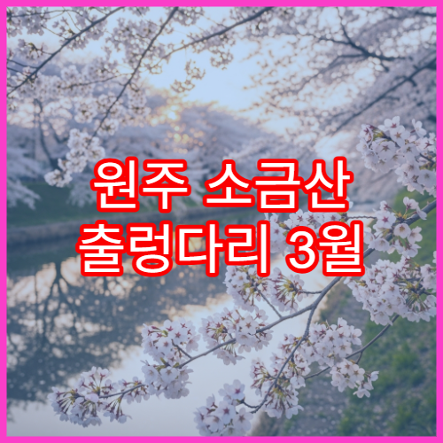 원주 소금산 출렁다리 3월 벚꽃·트레킹 여행